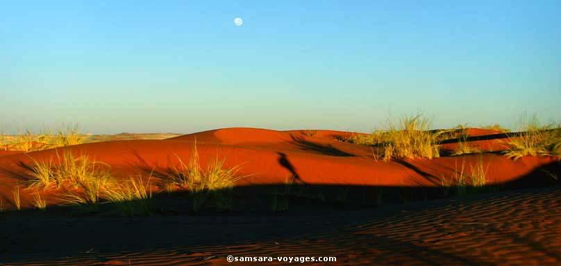 Dune Elim à Sesriem