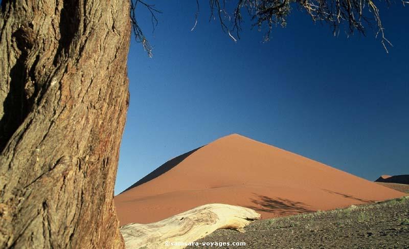 Dunes dans le Naukluft