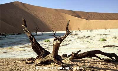 Paysage à Dead Vleï