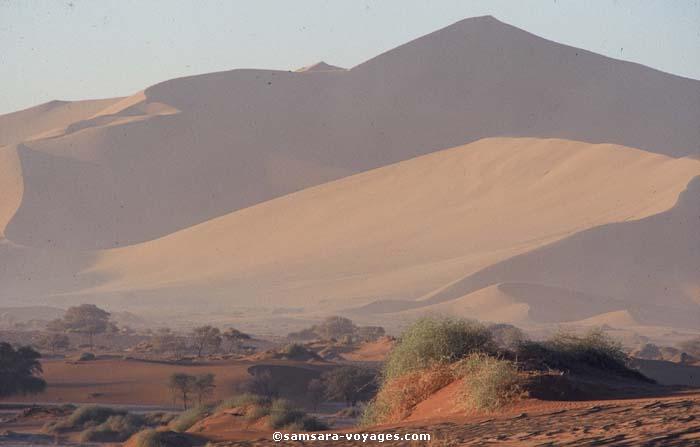 Dunes à Sossusvleï